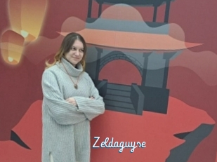 Zeldaguyse